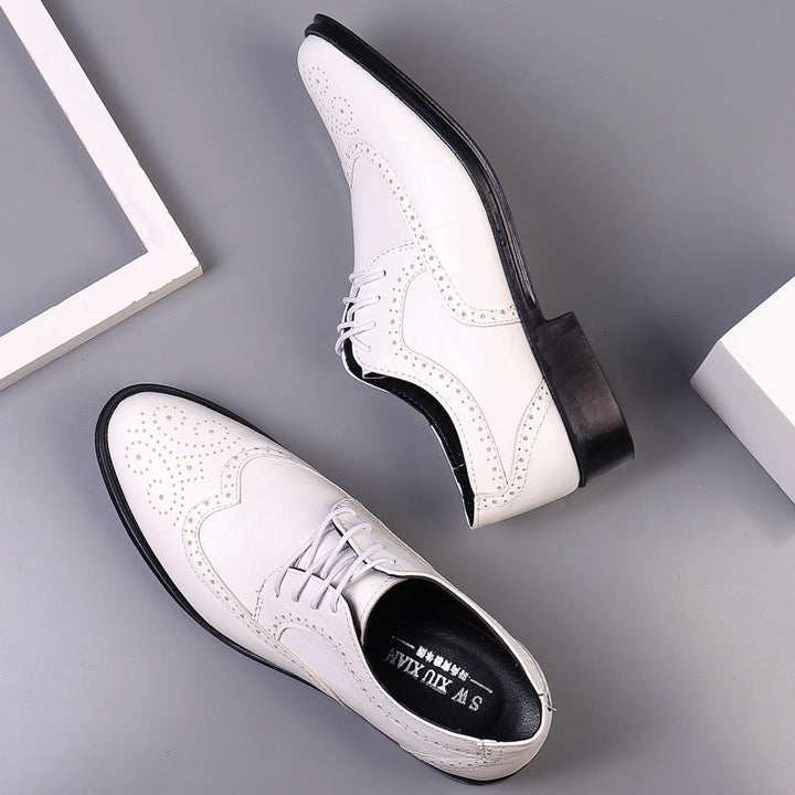 Men’s Lace-Up Shoes with Perforated Upper and Low Heel