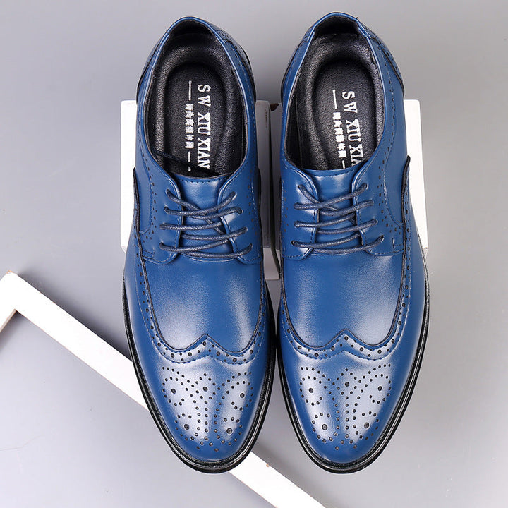 Men’s Lace-Up Shoes with Perforated Upper and Low Heel